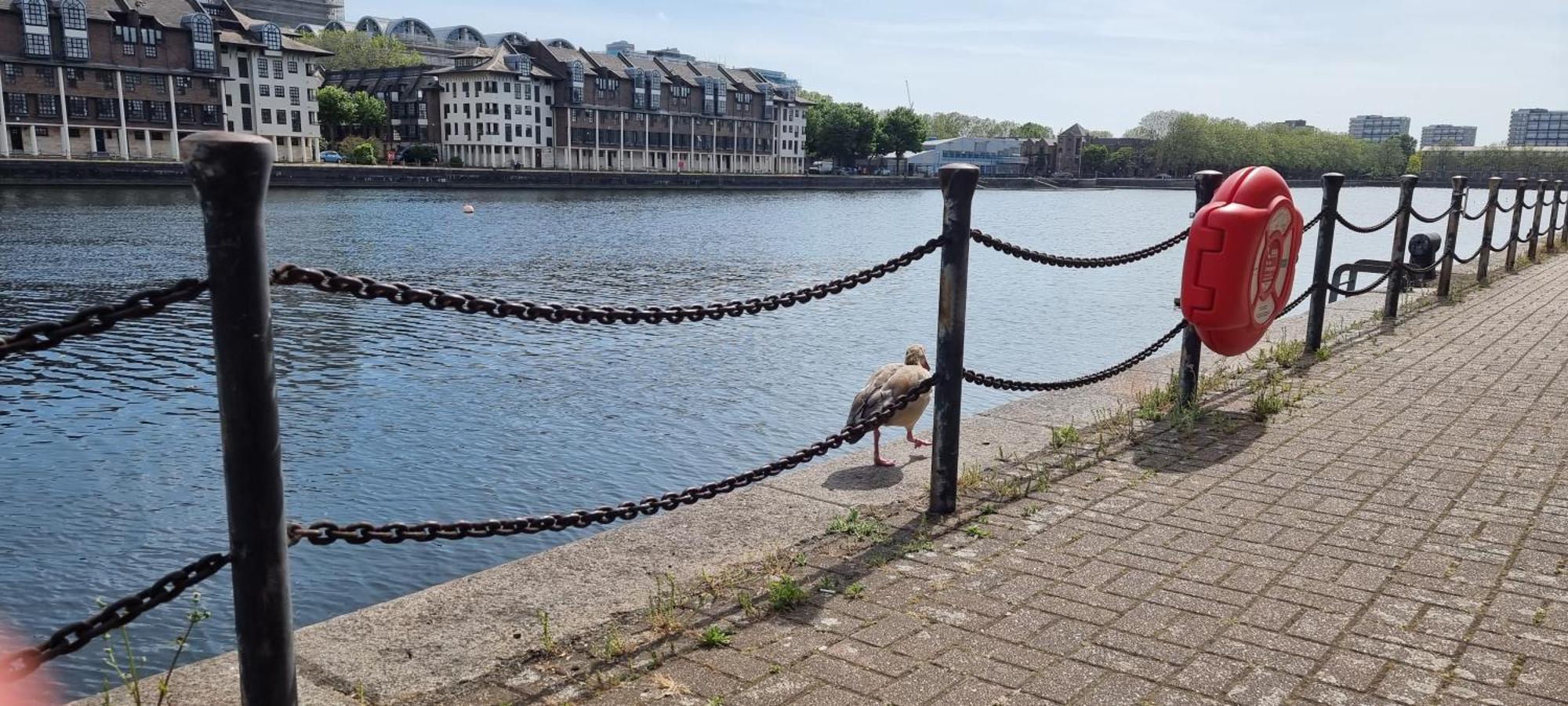 Riverside 1Br With Easy Transport 20Min To City Centre London Exterior photo
