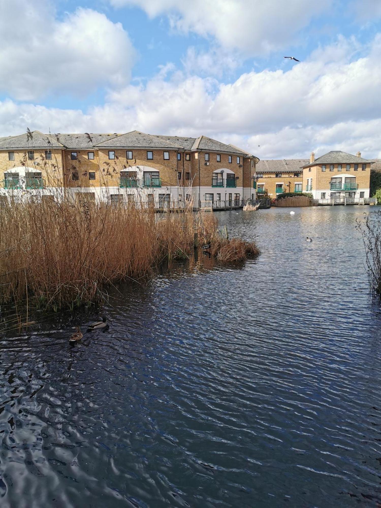Riverside 1Br With Easy Transport 20Min To City Centre London Exterior photo